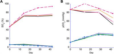 A deep 96-well plate RBC storage platform for high-throughput screening of novel storage solutions